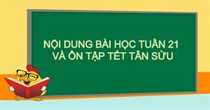 NỘI DUNG BÀI HỌC TUẦN 21 & ÔN TẬP TẾT